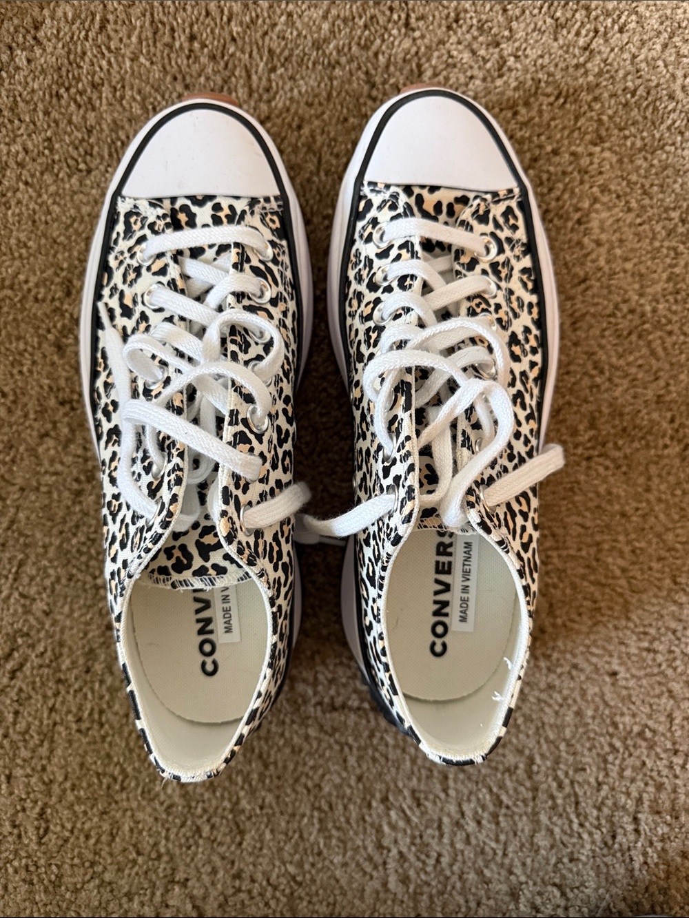 Converse Leopard Print Low Top Sneakers in White and Black